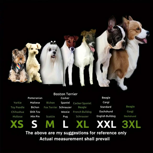 4PCS Water-Resistant Dog Shoes for Small Dogs β Protect Your Pet's Paws & Keep Them Dry | Non-Slip Puppy Boots, Ideal Christmas Gift - Image 7