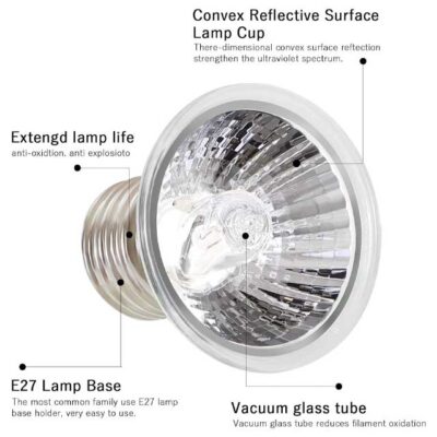 LEDGLE 25W Reptile Heat Bulb – E27 UVA/UVB Tortoise & Amphibian Heat Lamp for Lizards, Turtles, and Snakes