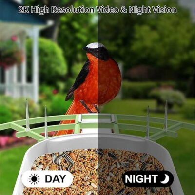 Lollyes AI Smart Bird Feeder Camera