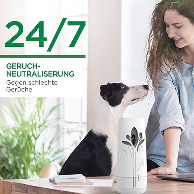 Air Wick Freshmatic Max Silk & Lily Refill 250ml – Long-Lasting Automatic Home Air Freshener