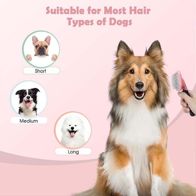 Large Pink Dog Brush – Gentle Cleaning Pin Brush for Shedding Hair, Ideal for Small Dogs, Puppies, Yorkies, Poodles, Rabbits & Cats