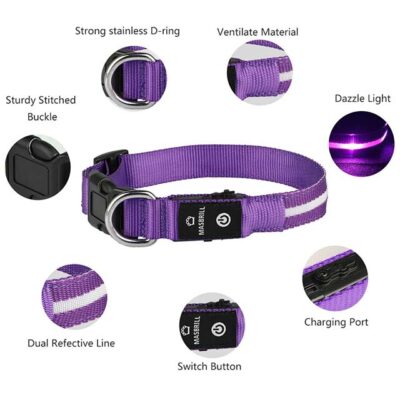 MASBRILL LED Dog Collar – Waterproof & USB Rechargeable Glowing Safety Collar for Night Walks, Flashing LED Light for Small, Medium & Large Dogs – Purple
