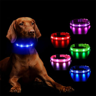 MASBRILL RGB LED Dog Collar – Rechargeable, Water-Resistant Light Up Collar for Night Walking & Dog Safety