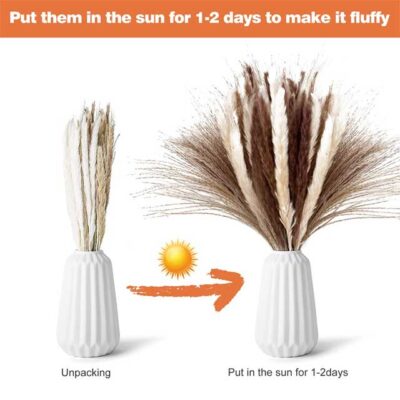 Natural Dried Pampas Grass Decor – Pack of 3 | Elegant White, Brown & Pink Reed Grass for Boho Home Accents