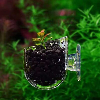 1PC Aquarium Worm Feeder Cup – Red Worm & Earthworm Feeding Cup with Suction Base for Fish Tanks & Aquatic Plants