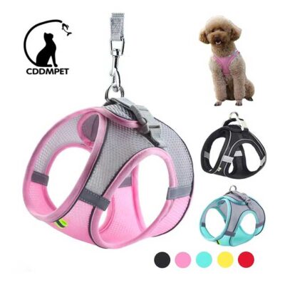 Adjustable Dog Harness & Leash Set – Soft Vest for Small Dogs & Cats, Ideal for French Bulldog, Chihuahua, Pug, Outdoor Walking