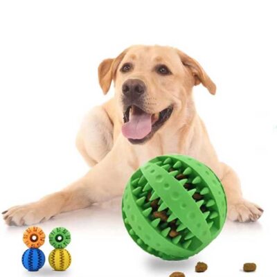 Interactive Dog Ball Toy – Elastic Rubber Chew Toy for Small Dogs, Puppy Tooth Cleaning & Treat Dispensing Ball